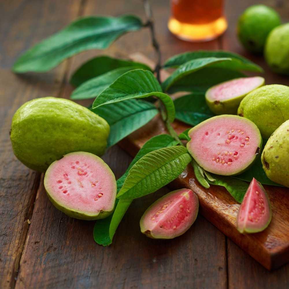 Guayaba Colombiana: El Poder Natural Detras de tu Energia con Saborty